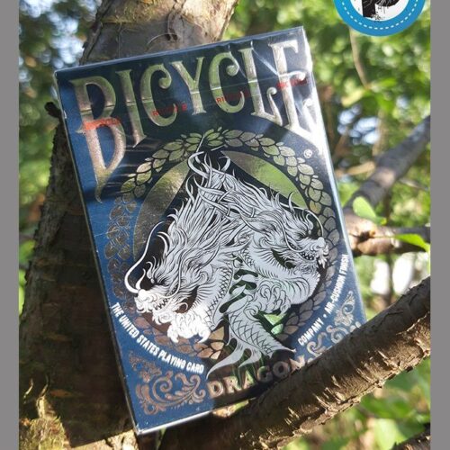 BICYCLE DRAGON